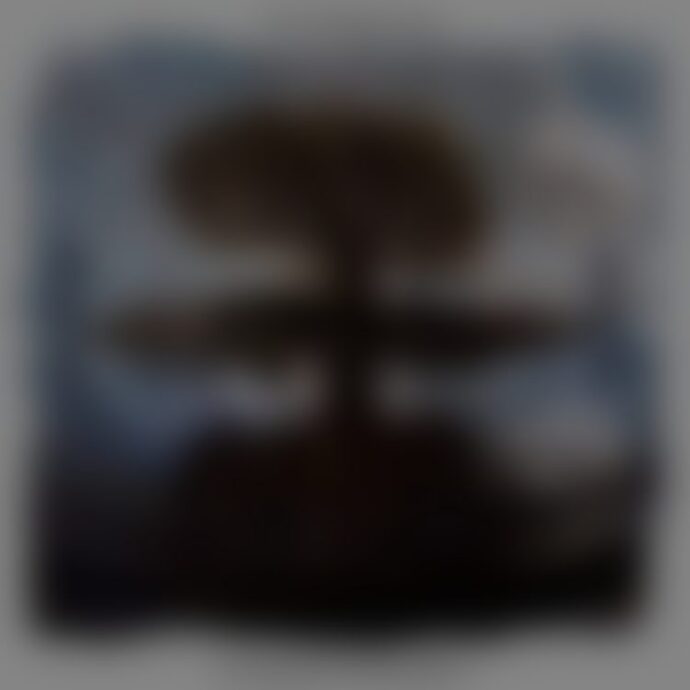 Bonsai tree silhouette against blurred background