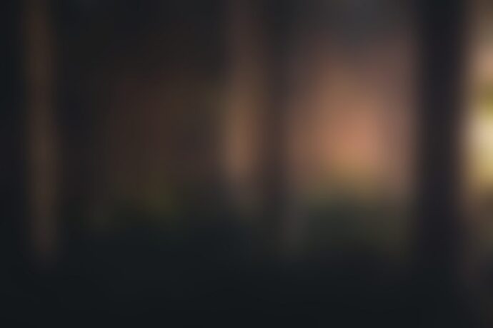 Blurry forest at dusk with warm light